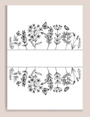 Isolated Colorful line frame icon leaf floral border divider with circular rectangle vector