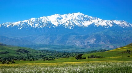 a breathtaking view of snow-capped mountains with rolling green valleys below, under a clear blue sky. 