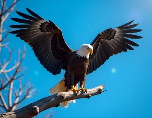 Obraz premium Beautiful spring background