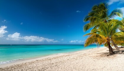 Obraz premium Palm Trees On The Beach - Palm Beach In Tropical Paradise - Guadalupe Island - Caribbean - Hawaii - Bali - Landscape Beach