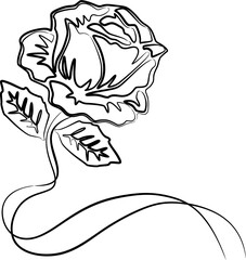 line art illustration and rose flower background