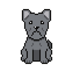 Fototapeta premium Pixel art cute cane corso dog vector in retro style for design.