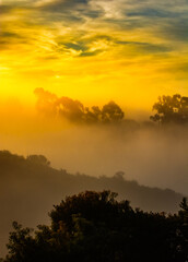 Misty Dawn: Sunrise Over Lopez Ridge