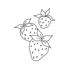 Vector isolated strawberries doodle tattoo sketch  colorless black and white contour line easy drawing