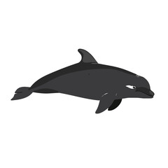 Flat vector porpoise, isolated on a white background.