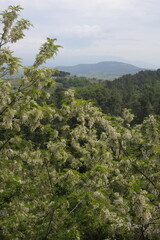 Roussillon - Luberon - Vaucluse - Provence-Alpes-Côte d'Azur - France