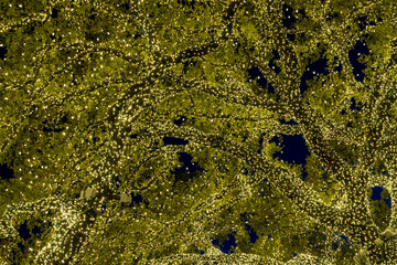 Twinkling lights around tree branches against the night sky in display lit each Christmas in Johnson City, Texas