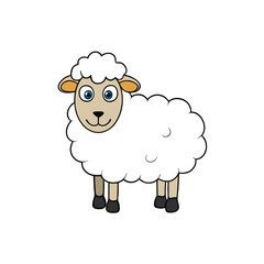 illustration of sheep