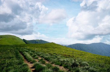 Scenic Cloudy Sky Over Lush Green Hills and Winding Pathway