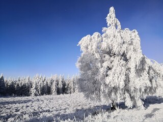 Winterlandschaft im Nord-Schwarzwald