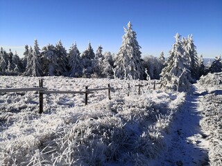 Winterlandschaft im Nord-Schwarzwald