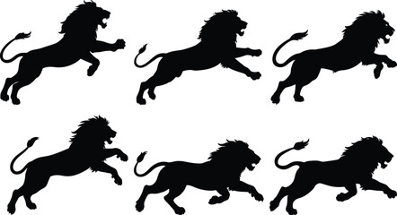 Silhouette lion collection - vector illustration © Masud010