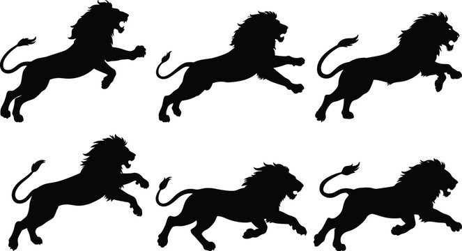 Silhouette lion collection - vector illustration