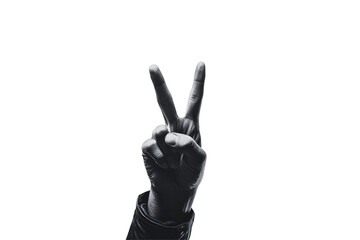 a hand making a peace sign