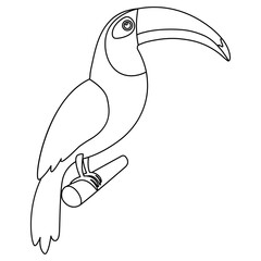Line toucan sitting on branch. Linear contour bird hand drawn. Vector illustration isolated on white. © Віталій Баріда