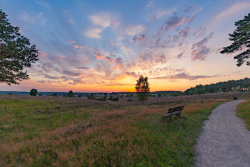 Farbenprächtiger Sonnenuntergang in der Lüneburger Heide bei Undeloh