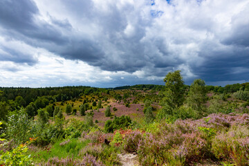 Tolle Aussicht in den Totengrund aus osten unter nahenden Gewitterwolken in der Lüneburger Heide