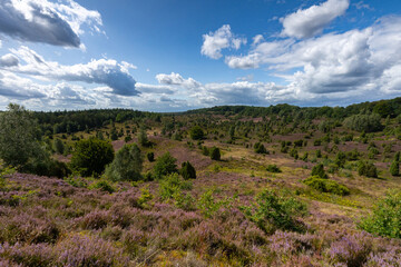 Tolle Aussicht in den Totengrund aus osten unter nahenden Gewitterwolken in der Lüneburger Heide