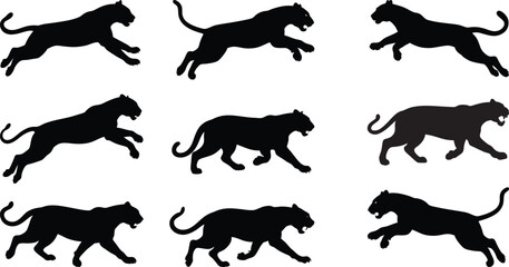 Set of Lion illustration Silhouette 