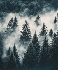 Foggy Mountain Forest with Abstract Landscape in Soft Light