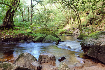 Golitha Falls, on the River Fowey, weaving its way through the ancient oak woodland of Draynes Wood, Liskeard, Cornwall, UK