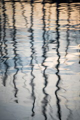 reflections in water