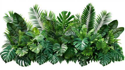 Lush Green Tropical Plants - Transparent PNG Available for Creative Use"
"Download Transparent PNG of Lush Green Tropical Plants for Your Designs"