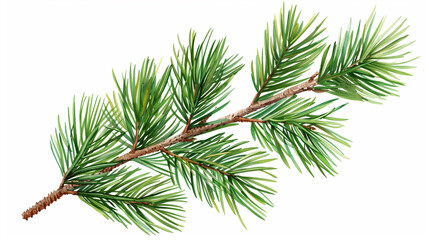 "Transparent PNG of Isolated Pine Leaves – Perfect for Nature and Design Projects"
"Clear PNG Image of Isolated Pine Tree Leaves – Ideal for Creative and Seasonal Designs"