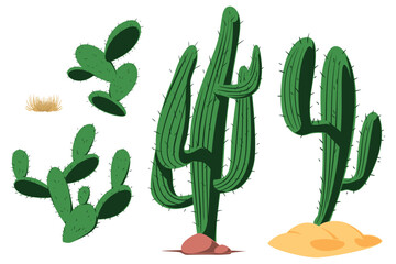 Cactus set. Illustration concept template for website