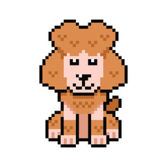 Fototapeta premium Pixel art cute poodle dog vector in retro style for design.