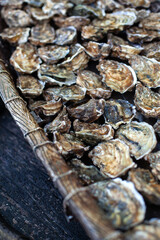 Sea food on a fishmonger stall