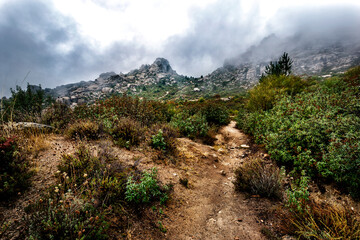 Sendero a la Torre de Valdemanco