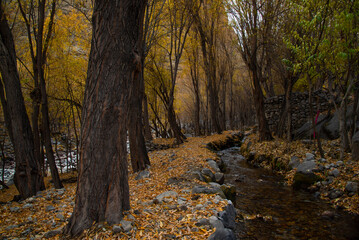 Most Beautiful landscapes views in Autumn ain Skardu, Pakistan. 