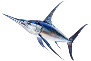 A sleek, blue swordfish with elongated body and sharp snout, showcasing its streamlined shape and powerful fins.