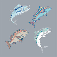 Big Fish Vector Design