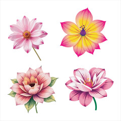 Flower Vector Design