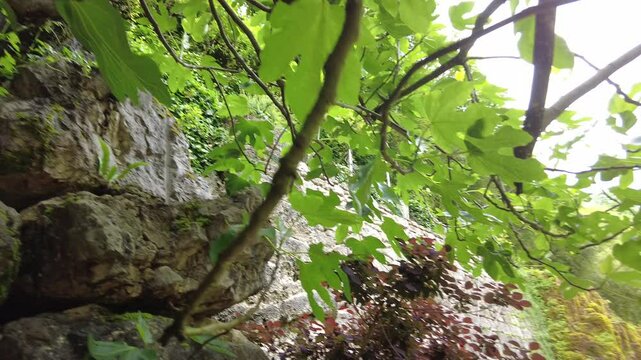 balade en nature