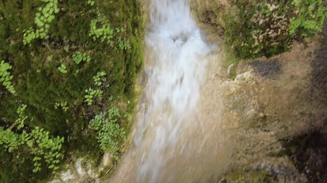balade en nature