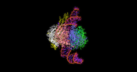 Spliceosomal U4 snRNP core domain, 3D molecule  4k