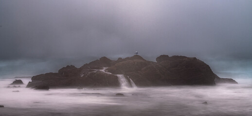 Seagull in the mist.  Long exposure of Point Lobos massive rock on Weston Beach with overcast sky