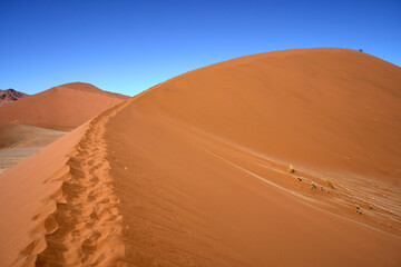 The ridge on the way up Dune 45, a popular sand dune in the Namib desert near Sesriem and Sossuvlei.