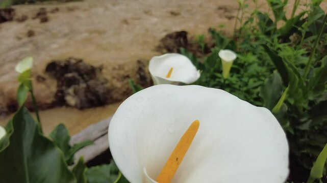 balade en nature