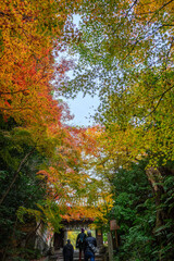 秋の京都の街並み　東山区にて撮影