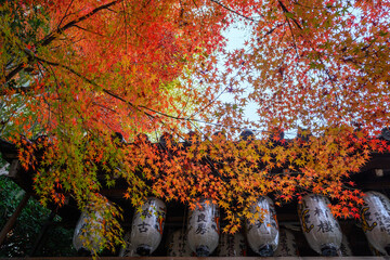 秋の京都の街並み　東山区にて撮影