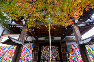 紅葉に包まれた京都の寺院