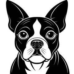 Boston terrier dog black silhouette vector with white background