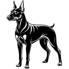 Doberman pinscher  dog black silhouette vector with white background