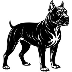 Cane corso dog black silhouette vector with white background