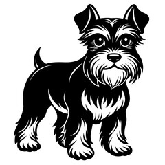 miniature schnauzer dog black silhouette vector with white background