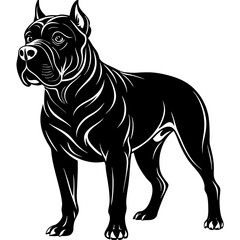 Cane corso dog black silhouette vector with white background